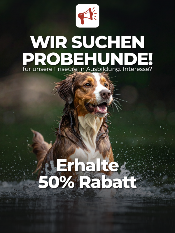 Pop Up Website - Hundefriseur