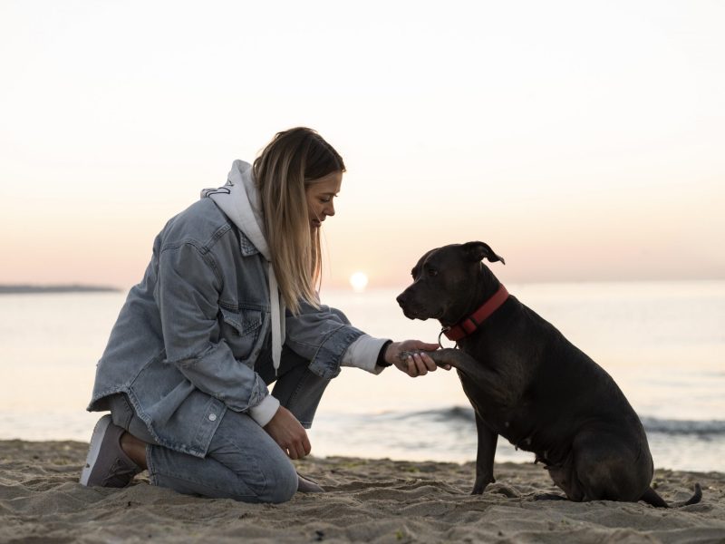 junge-frau-geniesst-einige-zeit-mit-ihrem-hund-scaled.jpg